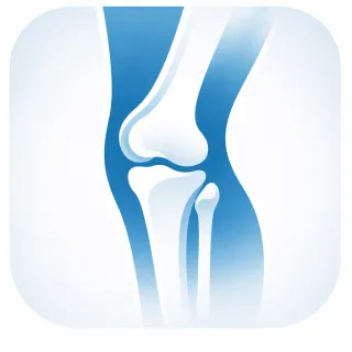 Knee icon